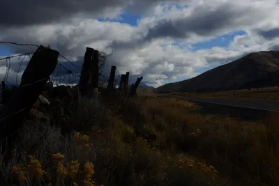 DSC_2910 (Large).JPG